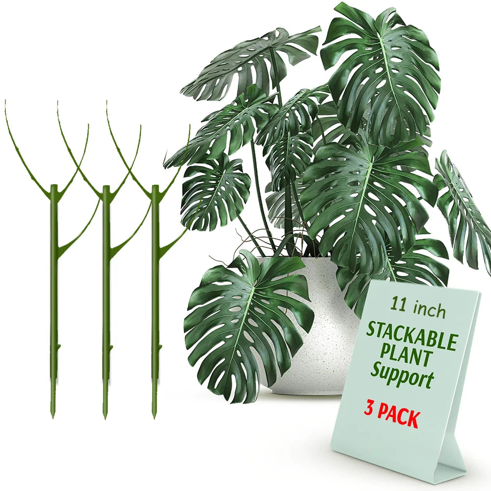 Support and Stabilise your Precious Plants