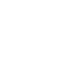 Ikigai Lifestyle